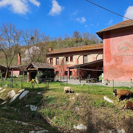 Agriturismo La.Ti.Mi.Da. Villa Cassine Dış mekan fotoğraf