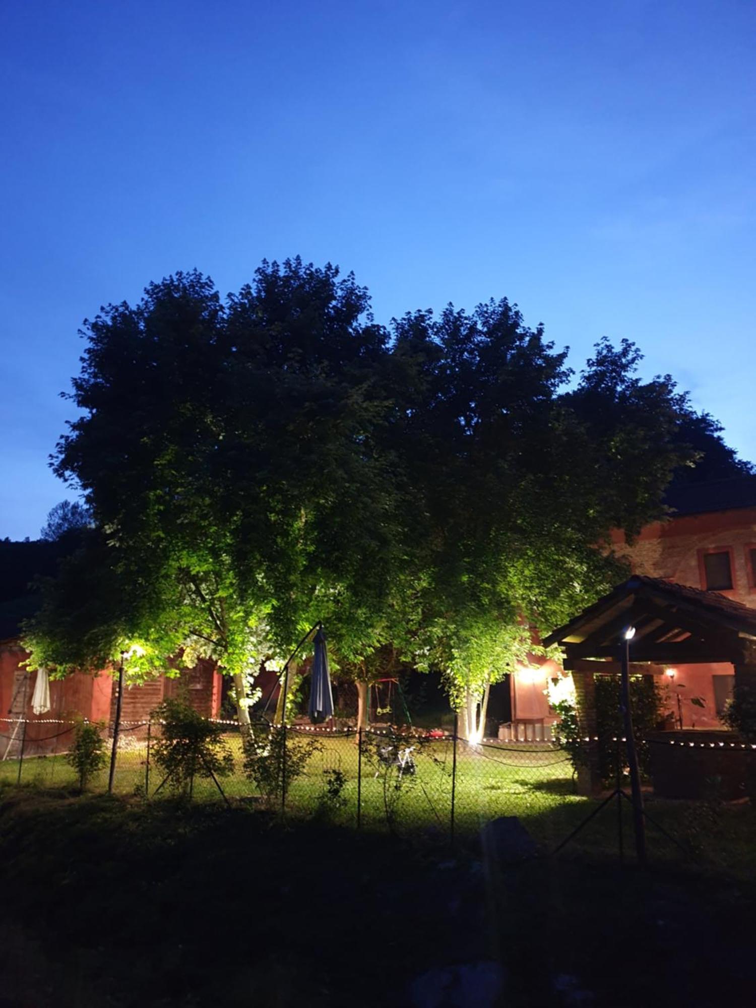 Agriturismo La.Ti.Mi.Da. Villa Cassine Dış mekan fotoğraf