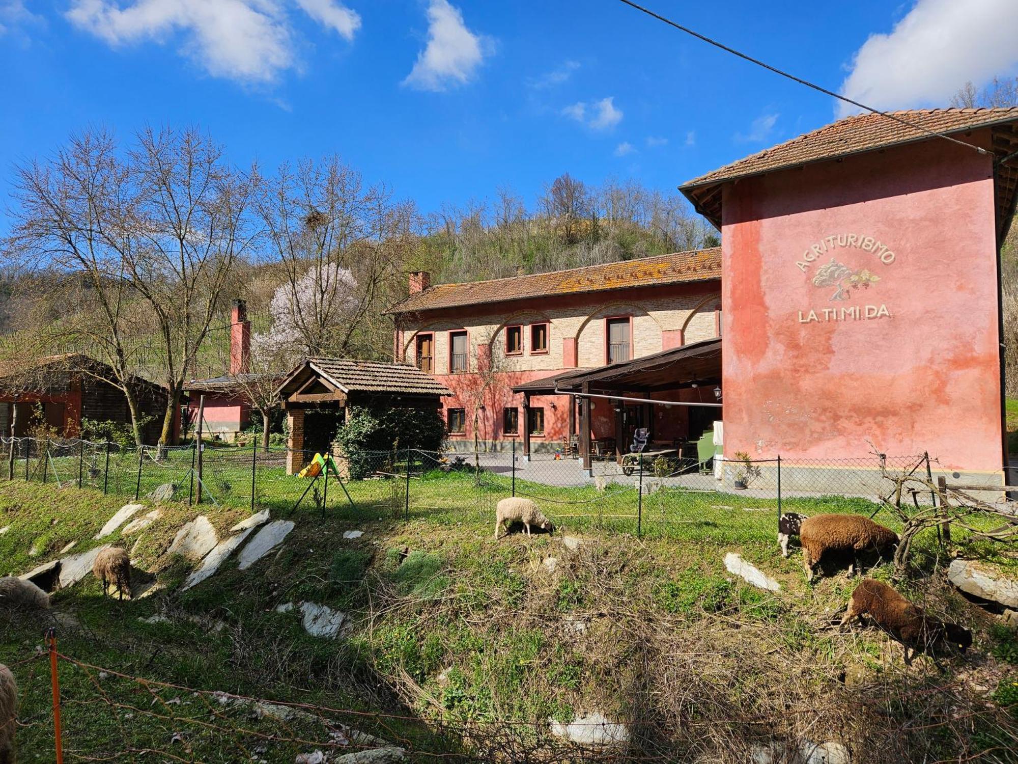 Agriturismo La.Ti.Mi.Da. Villa Cassine Dış mekan fotoğraf