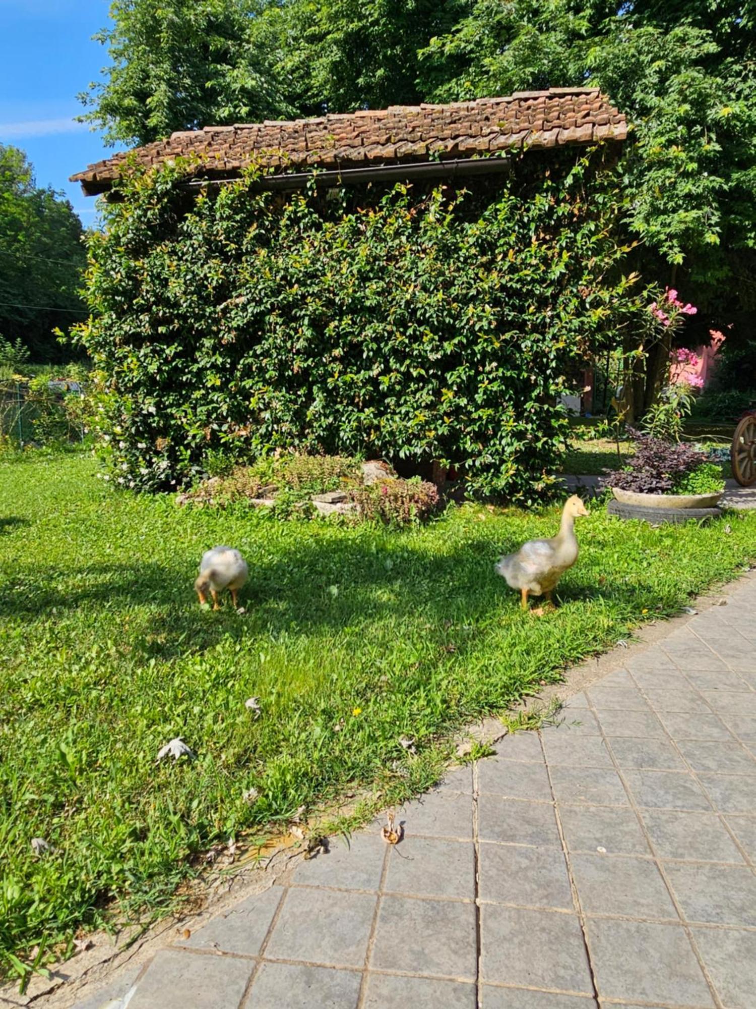 Agriturismo La.Ti.Mi.Da. Villa Cassine Dış mekan fotoğraf