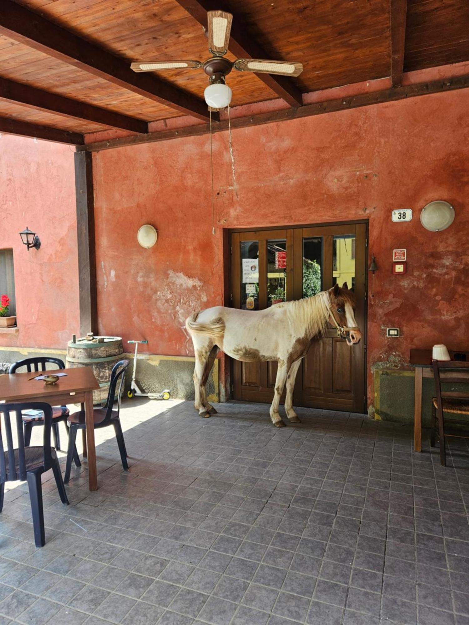 Agriturismo La.Ti.Mi.Da. Villa Cassine Dış mekan fotoğraf