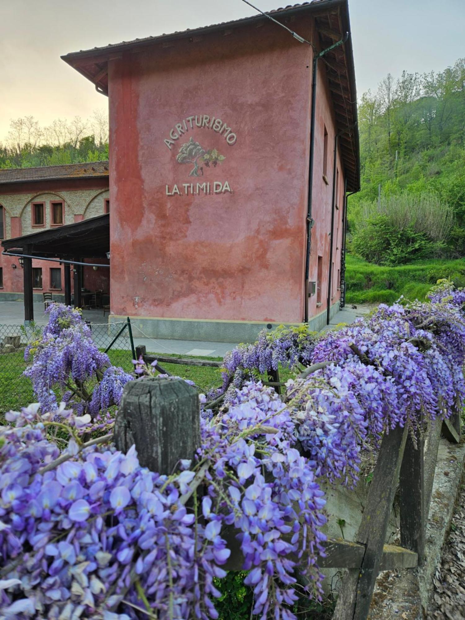 Agriturismo La.Ti.Mi.Da. Villa Cassine Dış mekan fotoğraf