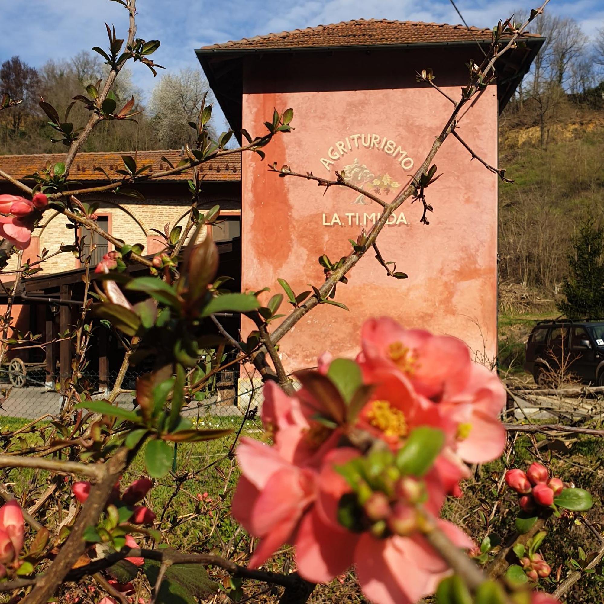 Agriturismo La.Ti.Mi.Da. Villa Cassine Dış mekan fotoğraf