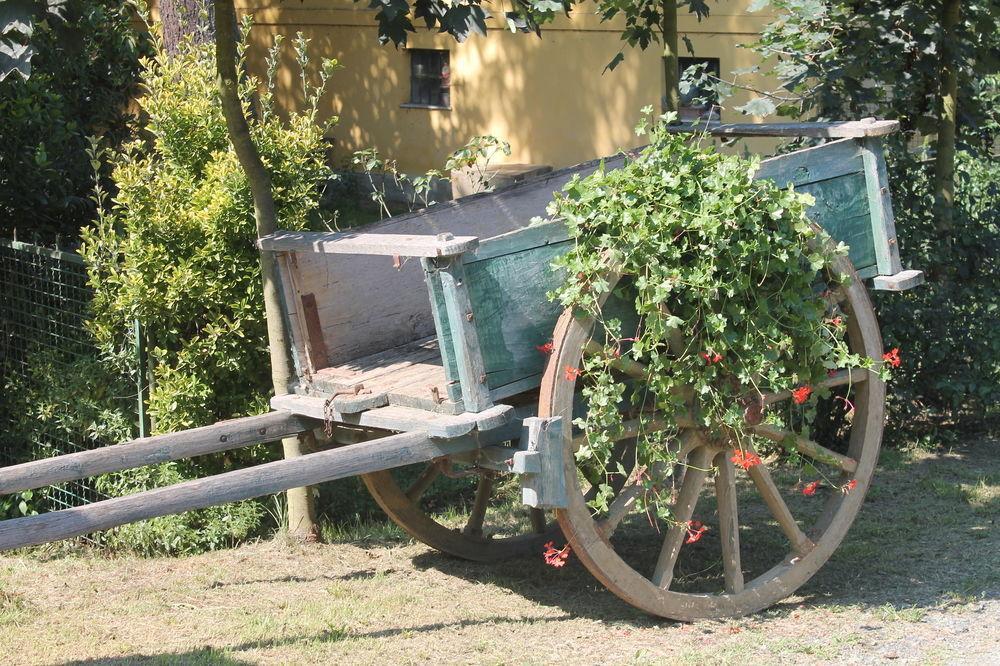 Agriturismo La.Ti.Mi.Da. Villa Cassine Dış mekan fotoğraf