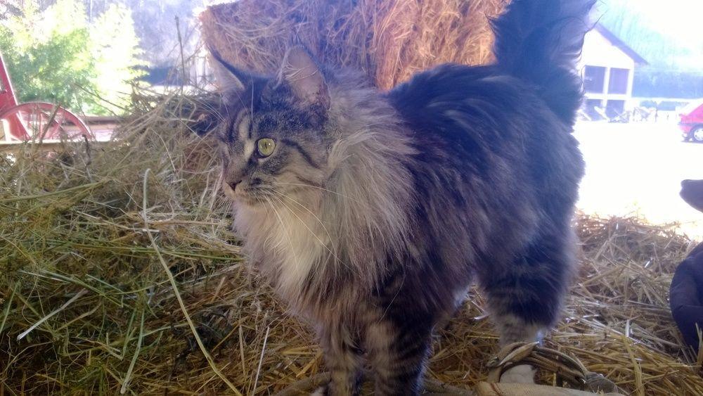 Agriturismo La.Ti.Mi.Da. Cassine Dış mekan fotoğraf